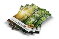 Katalog kostenlos anfordern